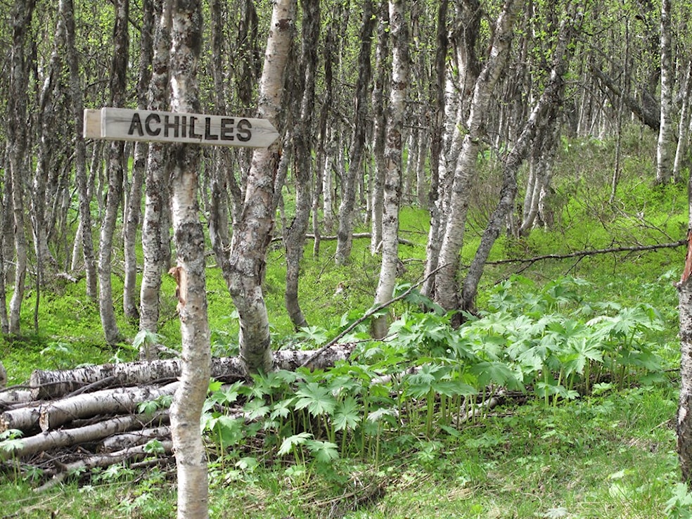Fellestur til "Ukens post"